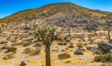 2175 Geronimo Trail, Yucca Valley, California 92284, ,Land,Buy,2175 Geronimo Trail,JT24236097