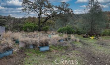 7119 Signa Ann, Lucerne, California 95458, ,Land,Buy,7119 Signa Ann,LC24233172