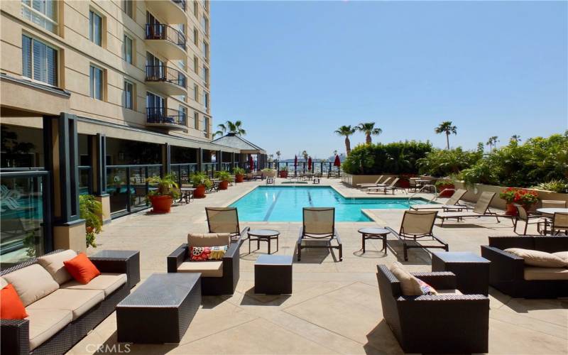 Sparkling pool and lounge area....