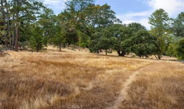 4959 Sierra Pines Drive, Mariposa, California 95338, ,Land,Buy,4959 Sierra Pines Drive,MP24231603