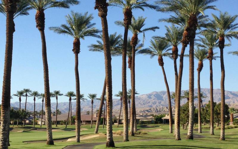 Sun-City-Palm-Desert-view