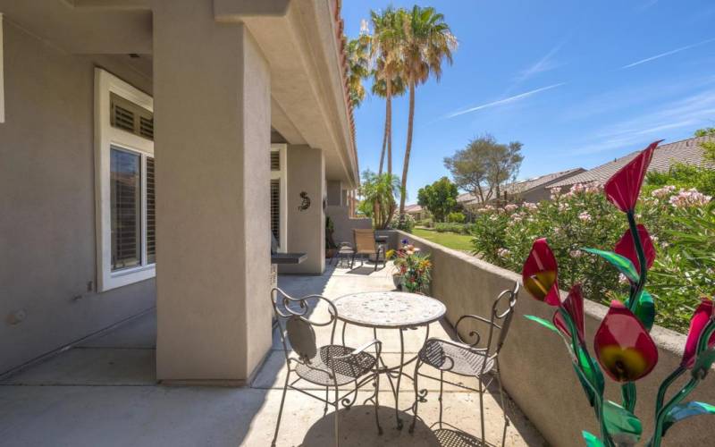 Back patio view with palm trees