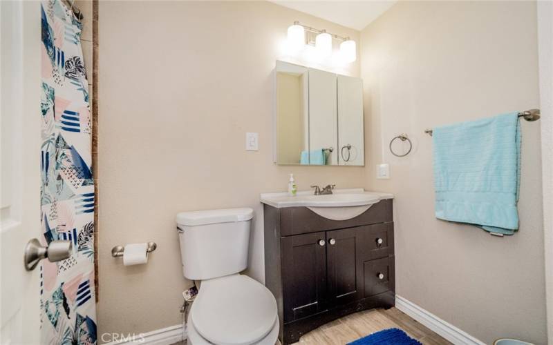 Main suite bathroom.