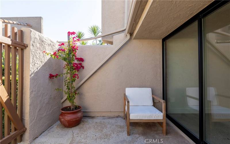 Patio off Living Room