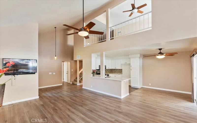 Dramatic Vaulted Ceilings - Loft