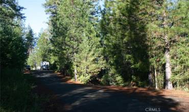 14028 Hogan Hill Lane, Cobb, California 95426, ,Land,Buy,14028 Hogan Hill Lane,LC24236904