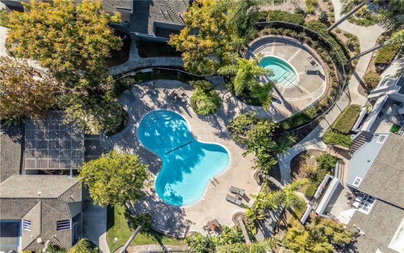 Amenities / Pool - Jacuzzi