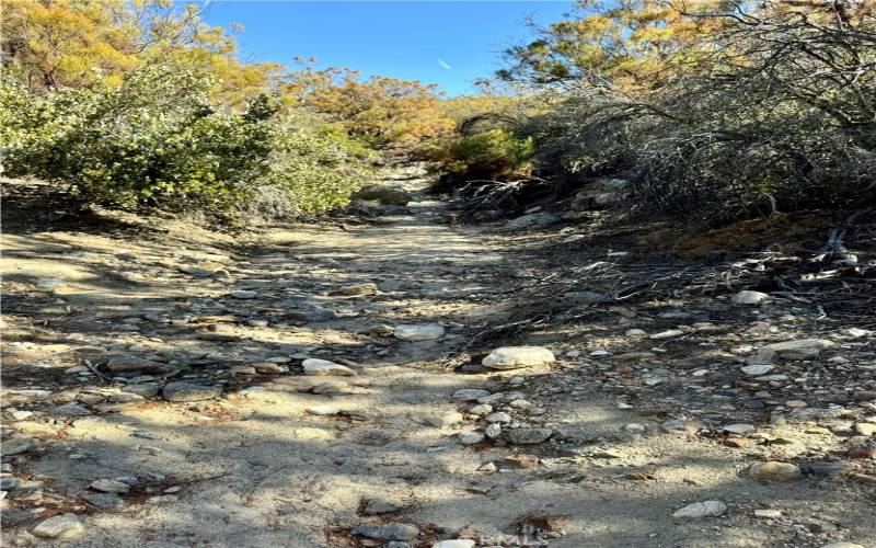 Seasonal creek through property