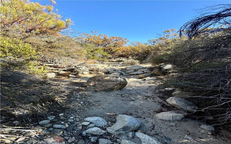 Seasonal creek through property