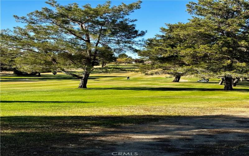 Neighborhood has a golf course!