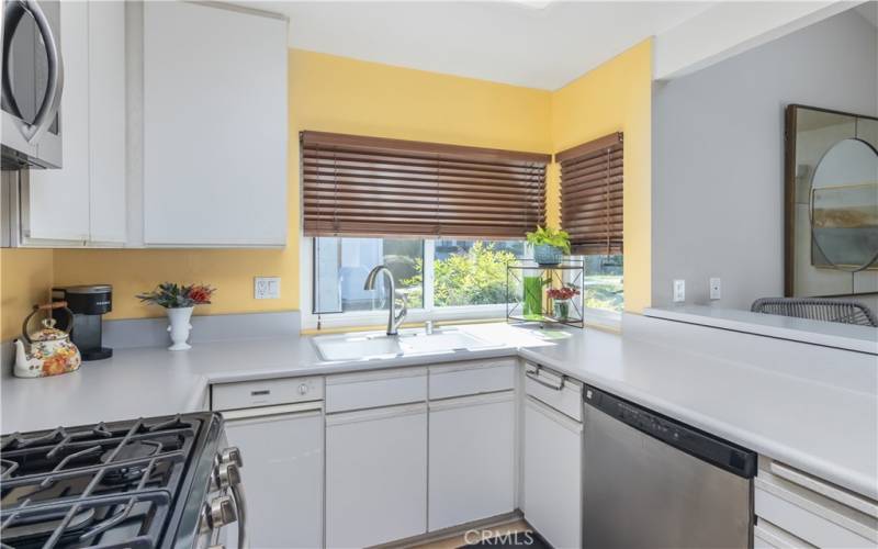 Above sink Window with greenbelt views