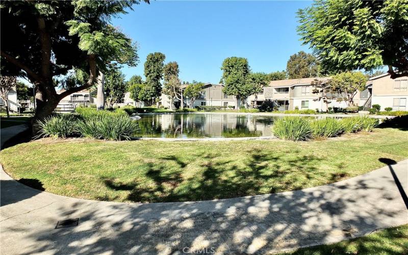 Pond and landscaped walkways