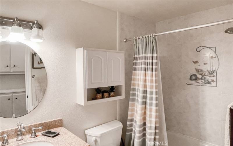 The second bathroom with the shower in tub combo.