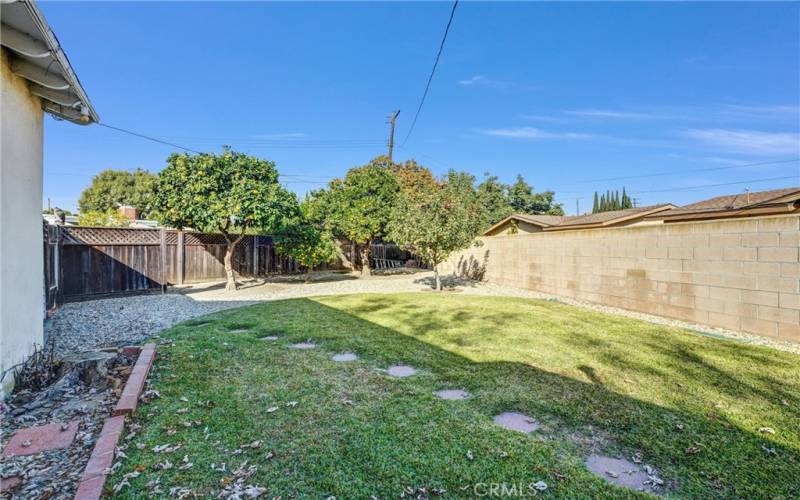 Large Yard with Fuji Apple, Lemon, Grapefruit and Navel Orange Trees