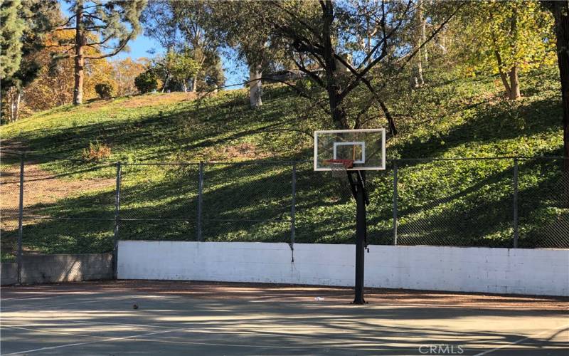 Basketball court