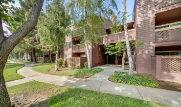 834 Catkin Court, San Jose, California 95128, 2 Bedrooms Bedrooms, ,2 BathroomsBathrooms,Residential,Buy,834 Catkin Court,ML81987154