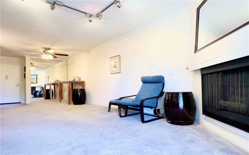 Living room with a fireplace