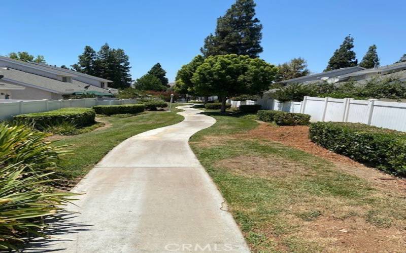 Garden pathway behind home