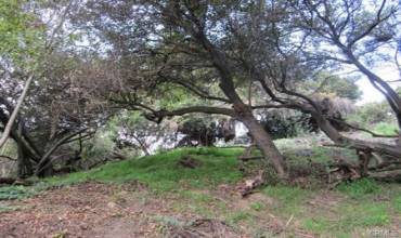 1531 Cliff Dr., Mount Washington, California 90065, ,Land,Buy,1531 Cliff Dr.,SB24127227