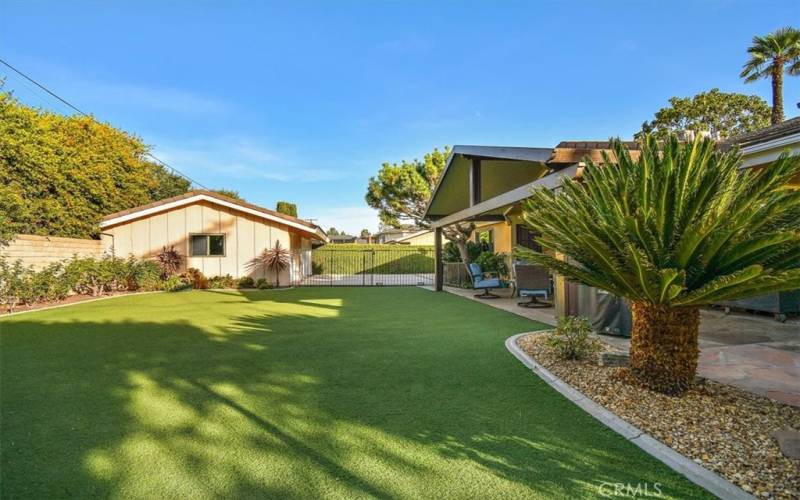 gated backyard