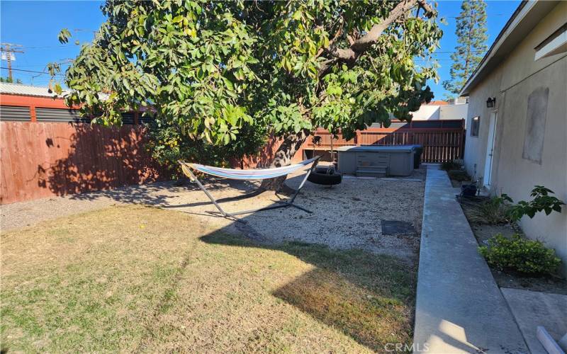 Backyard with Avocado Tree and Jacuzzi