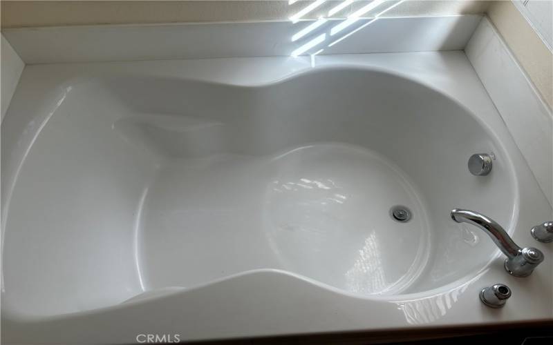 Master bathtub