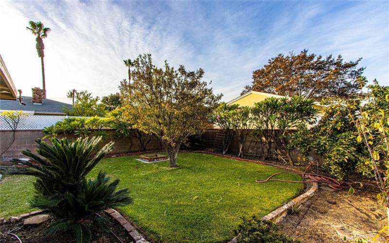 Backyard with Mature Fruit Trees