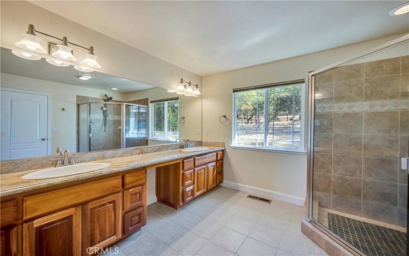 Luxurious primary bath with oversized stall shower