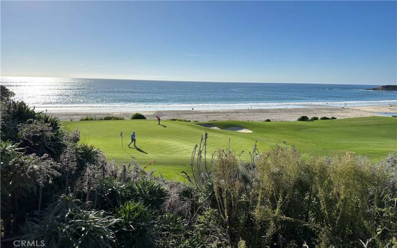 Enjoy golf at Monarch Beach Golf Links.