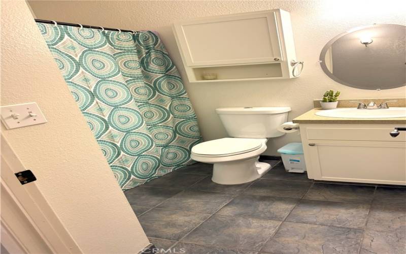 Hall Bathroom down stairs