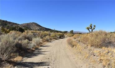 8100 Vac/Vic 81st Ste/Webber Ranch Rd, Palmdale, California 93550, ,Land,Buy,8100 Vac/Vic 81st Ste/Webber Ranch Rd,SR24238319