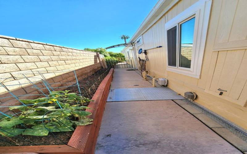 Side Vegetable Garden