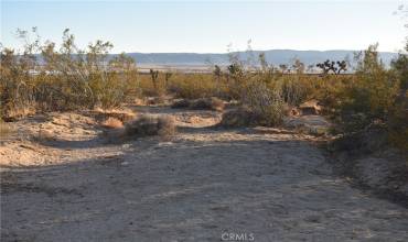 19300 Astoria Avenue, Rosamond, California 93560, ,Land,Buy,19300 Astoria Avenue,SR24238366