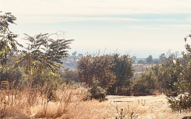 Lookin into the valley (NW) from lot