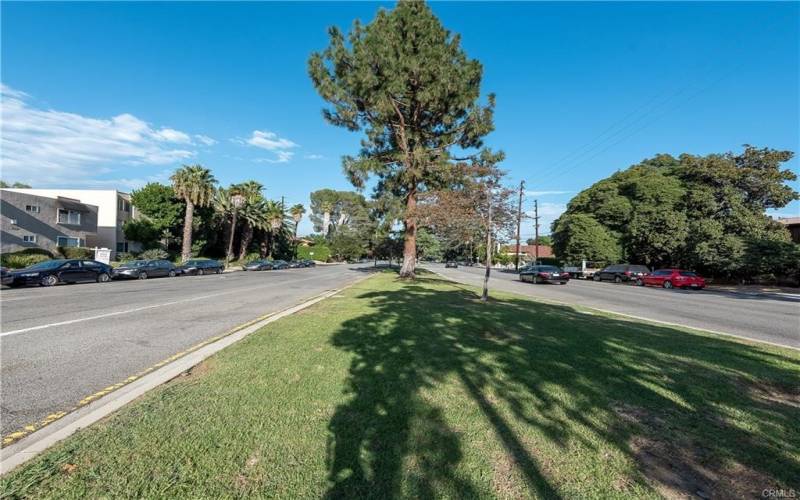 Popular Chandler Blvd. (joggers & dog walkers)