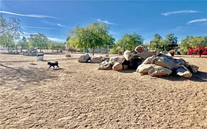 The Farm - Dog Park