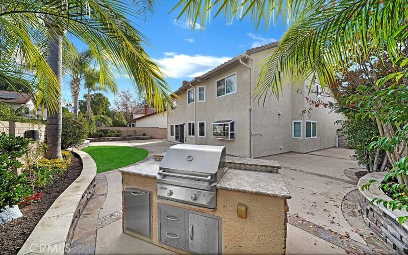 Backdrop of palm trees in spacious backyard.