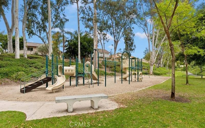 HOA playground among a canopy of trees.