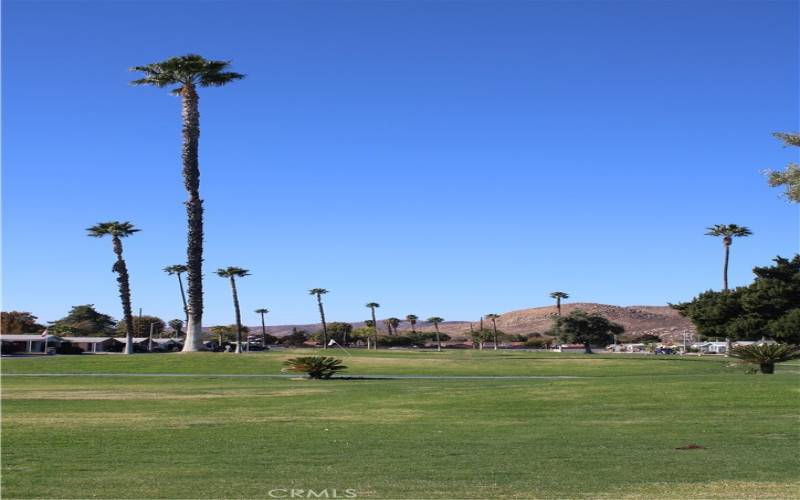 View of golf course, palm trees & foothills.