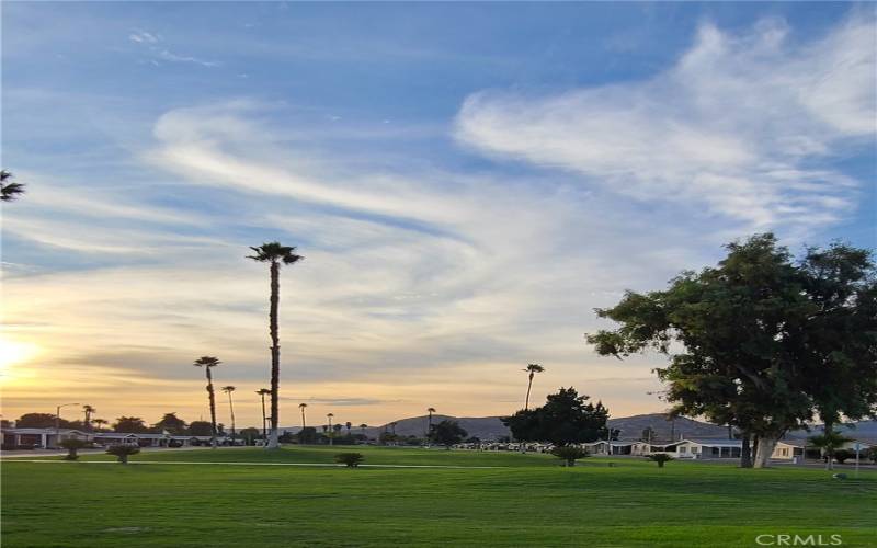 Beautiful evening fairway view.