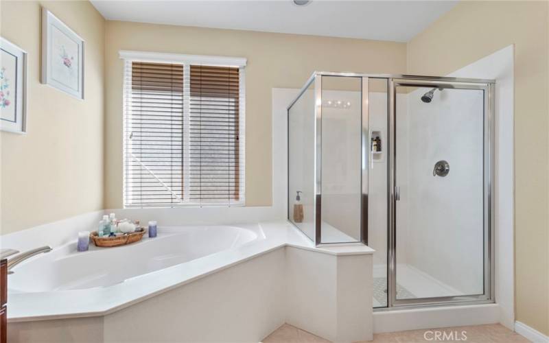 Primary Bath with soaking tub and separate shower