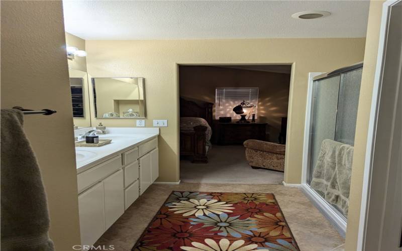 Master bathroom