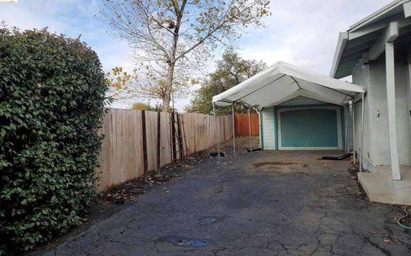 Shed and side yard.