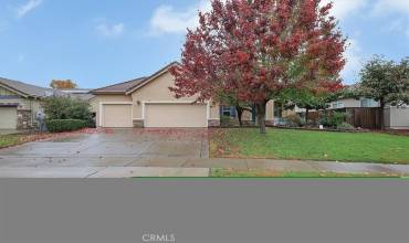 1361 Snowy Egret Street, Plumas Lake, California 95961, 4 Bedrooms Bedrooms, ,2 BathroomsBathrooms,Residential,Buy,1361 Snowy Egret Street,OR24238998