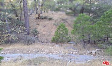 1694 Line Drive, Lake Arrowhead, California 92352, ,Land,Buy,1694 Line Drive,24466545