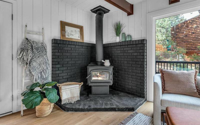 Living Room Wood Stove