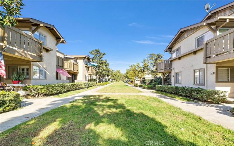 Meadow and Paseo in front of Home