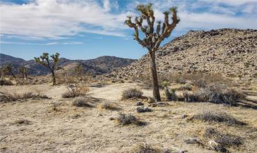 5 Sunset Road, Joshua Tree, California 92252, ,Land,Buy,5 Sunset Road,JT24239670