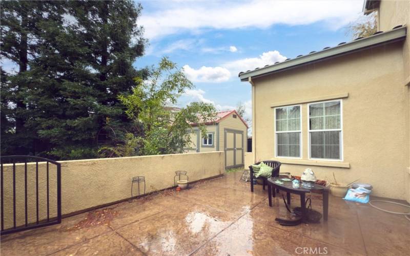 Side patio and garden shed