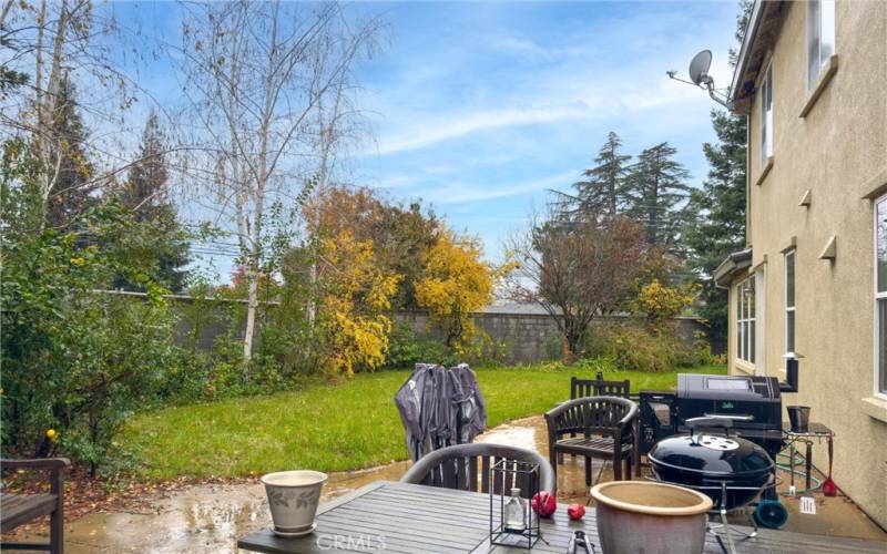 Backyard patio and yard